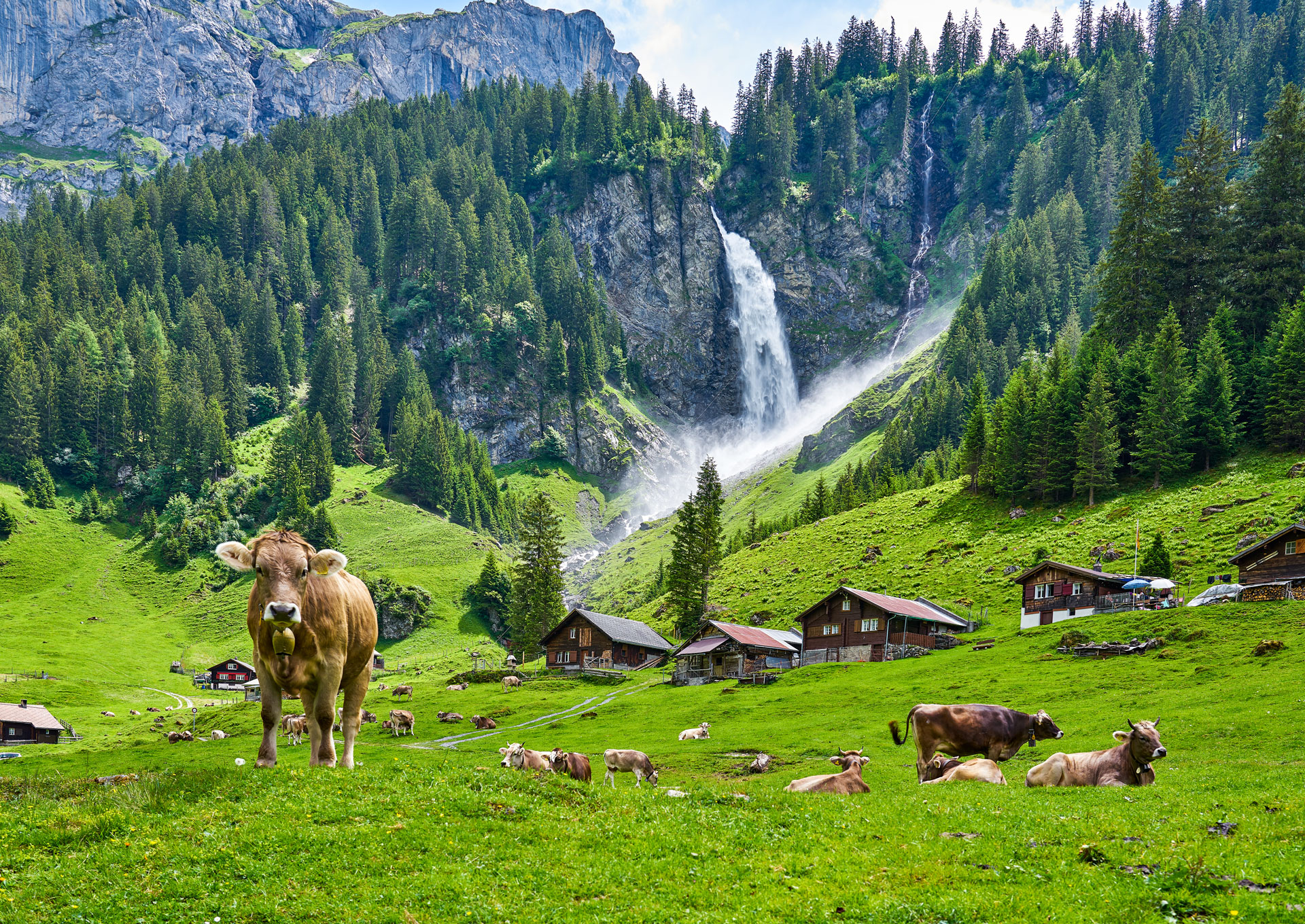 Altdorfs-nature-Switzerland