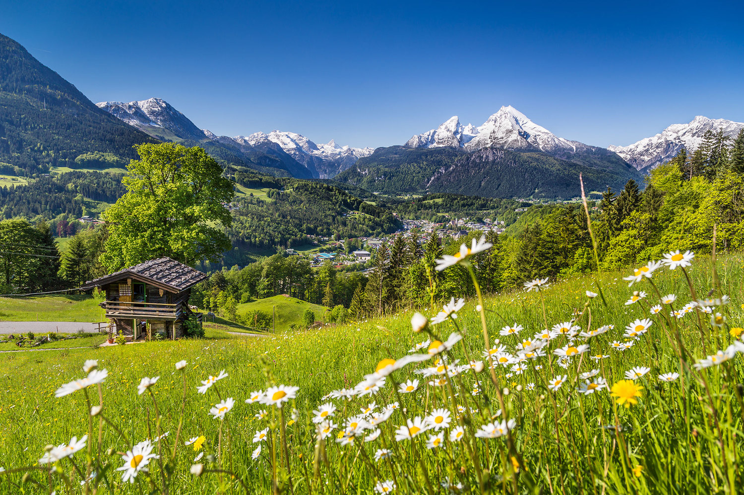 Swiss-nature