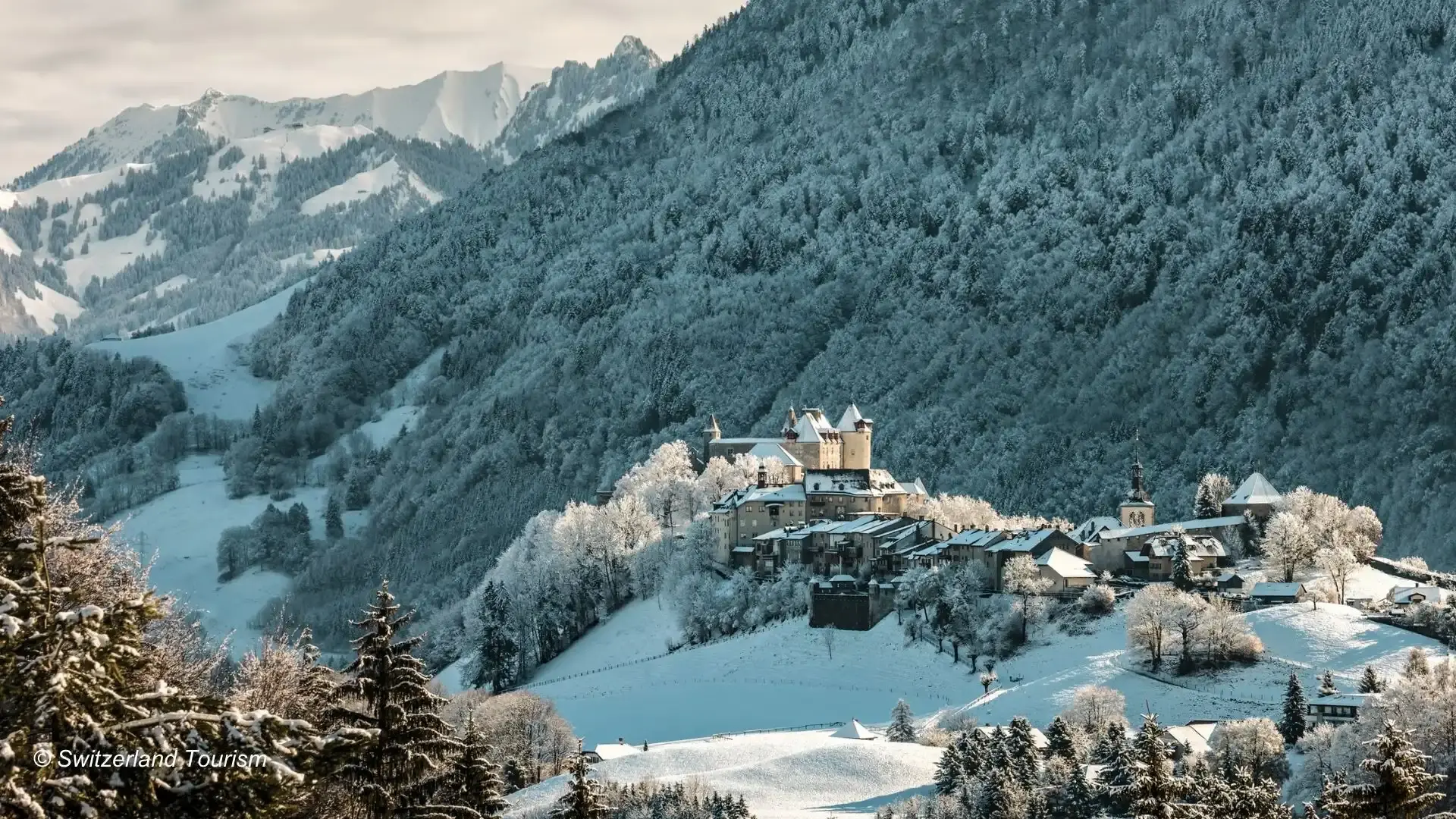 Gruyeres Castle in Winter