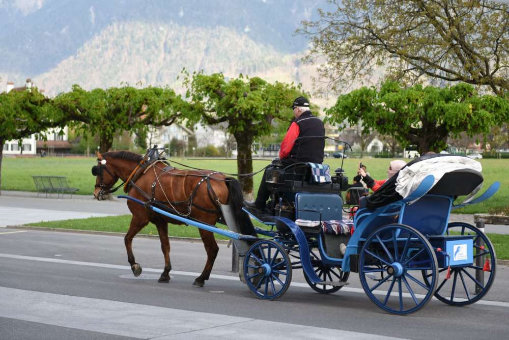 Interlaken-carriage