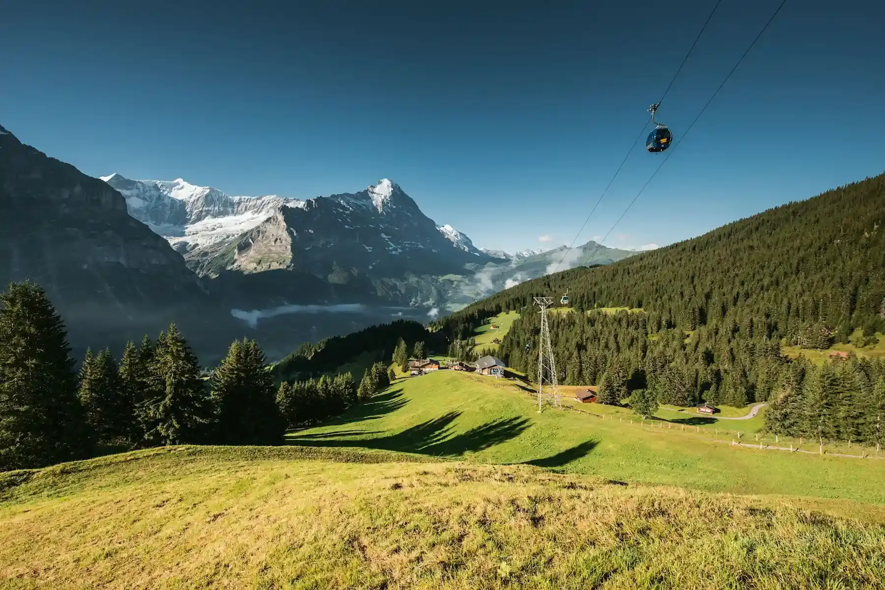 grindelwald-first-first-trottibike-vier-personen