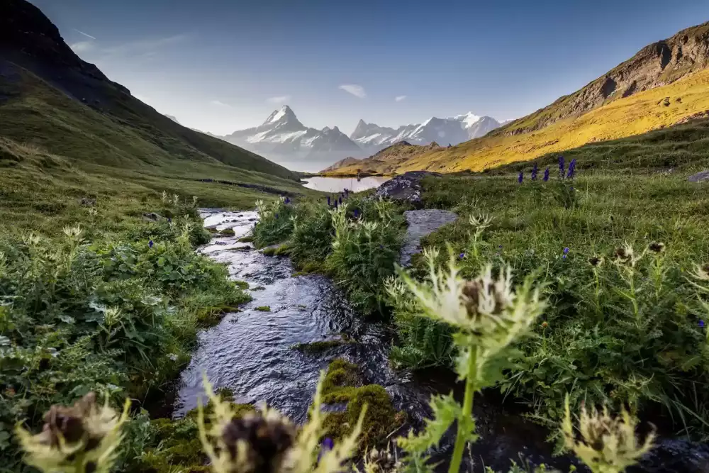 bachalpsee-sommer-schreckhorn-bach