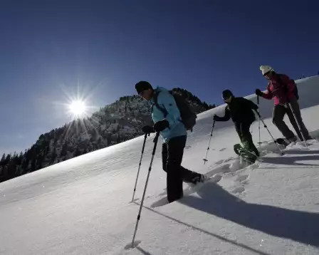 guided-snowshoe-hike