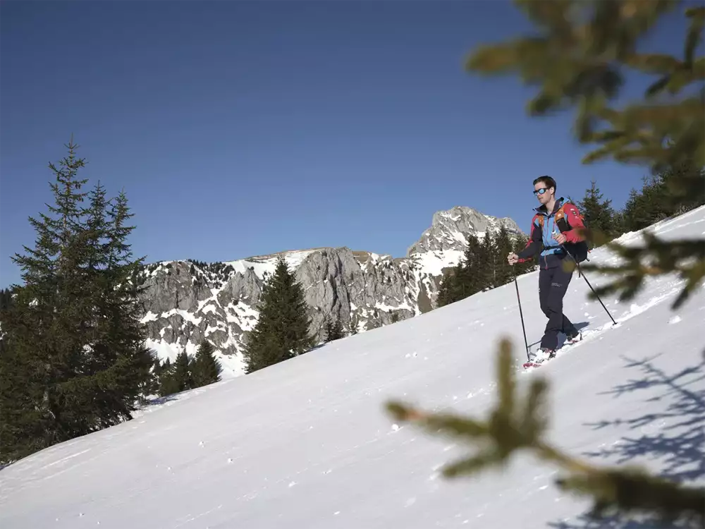 snowy-mountains