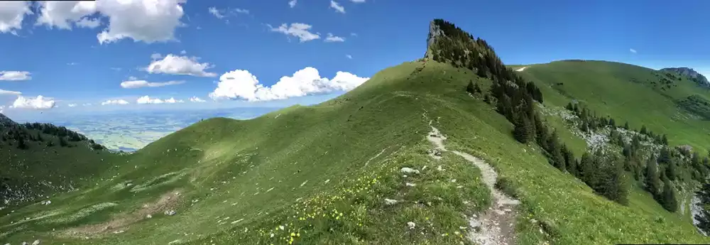 Tranquil alpine meadows