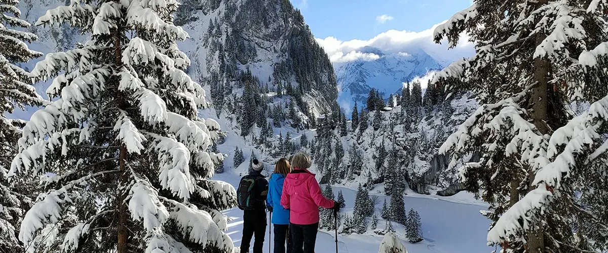 Winter snowshoe hike