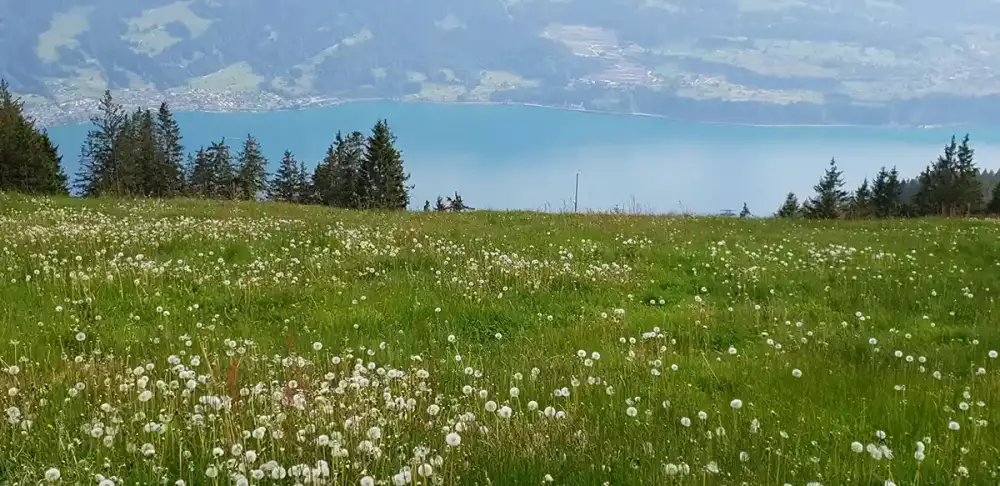 Unspoiled Nature of Switzerland