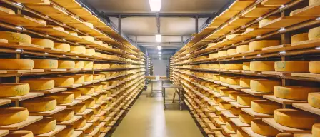 Gruyère Cheese factory