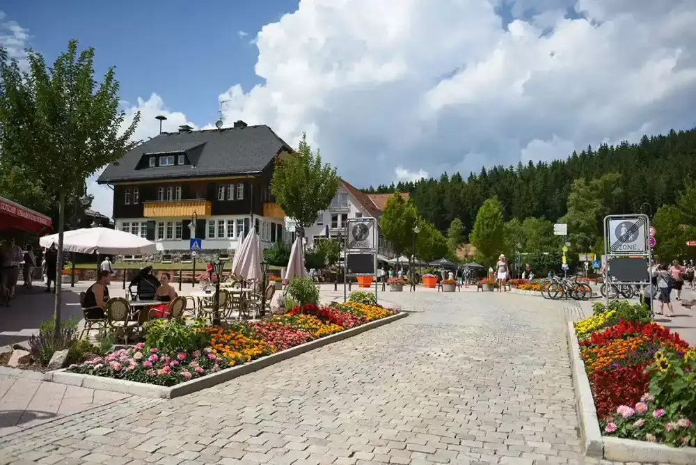Seestraße Promenade in the town of Titisee