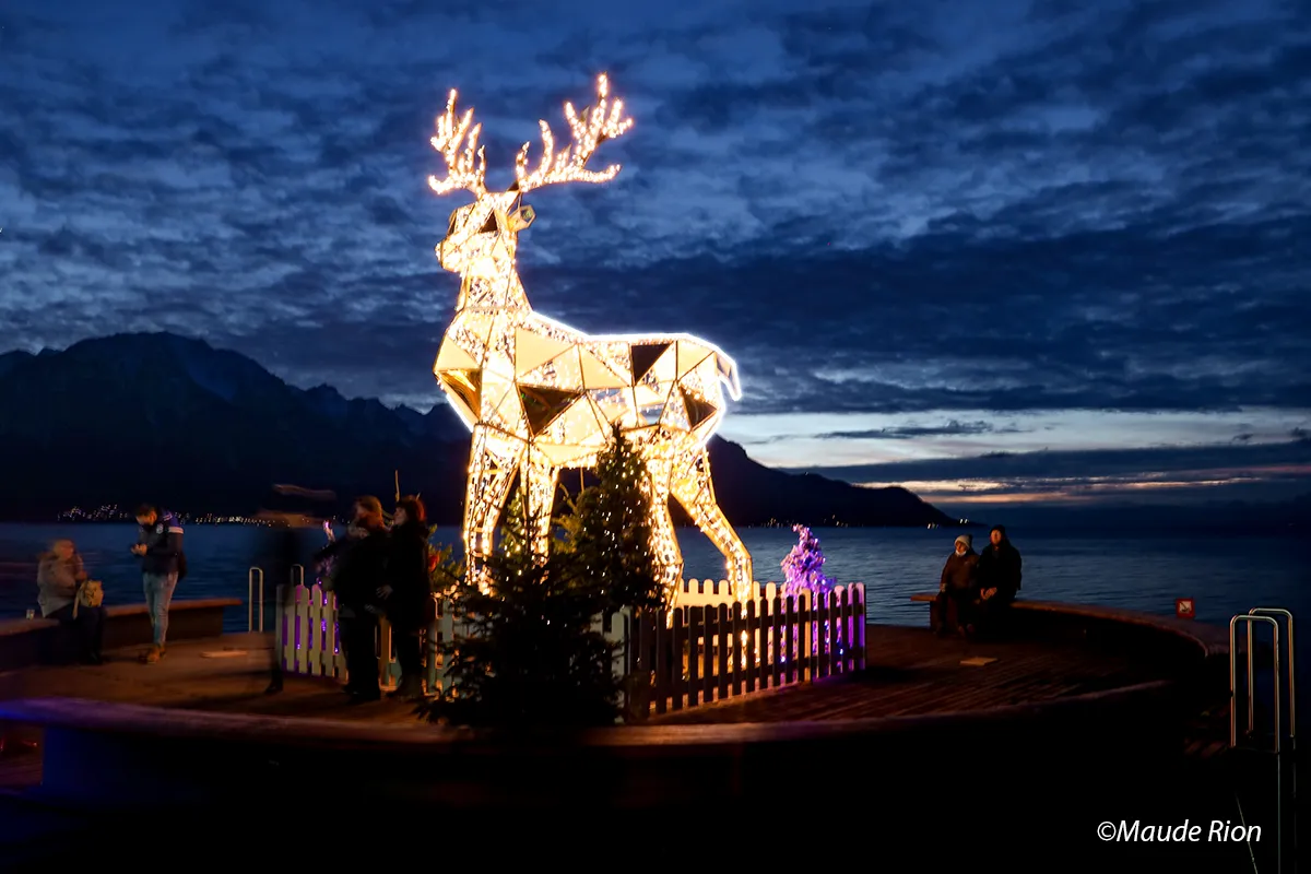 the-reindeer