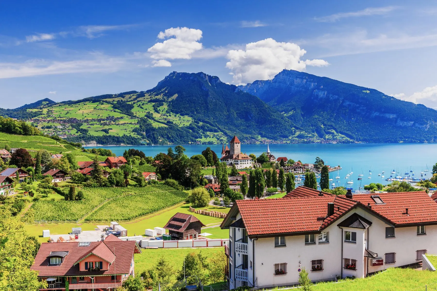 spiez