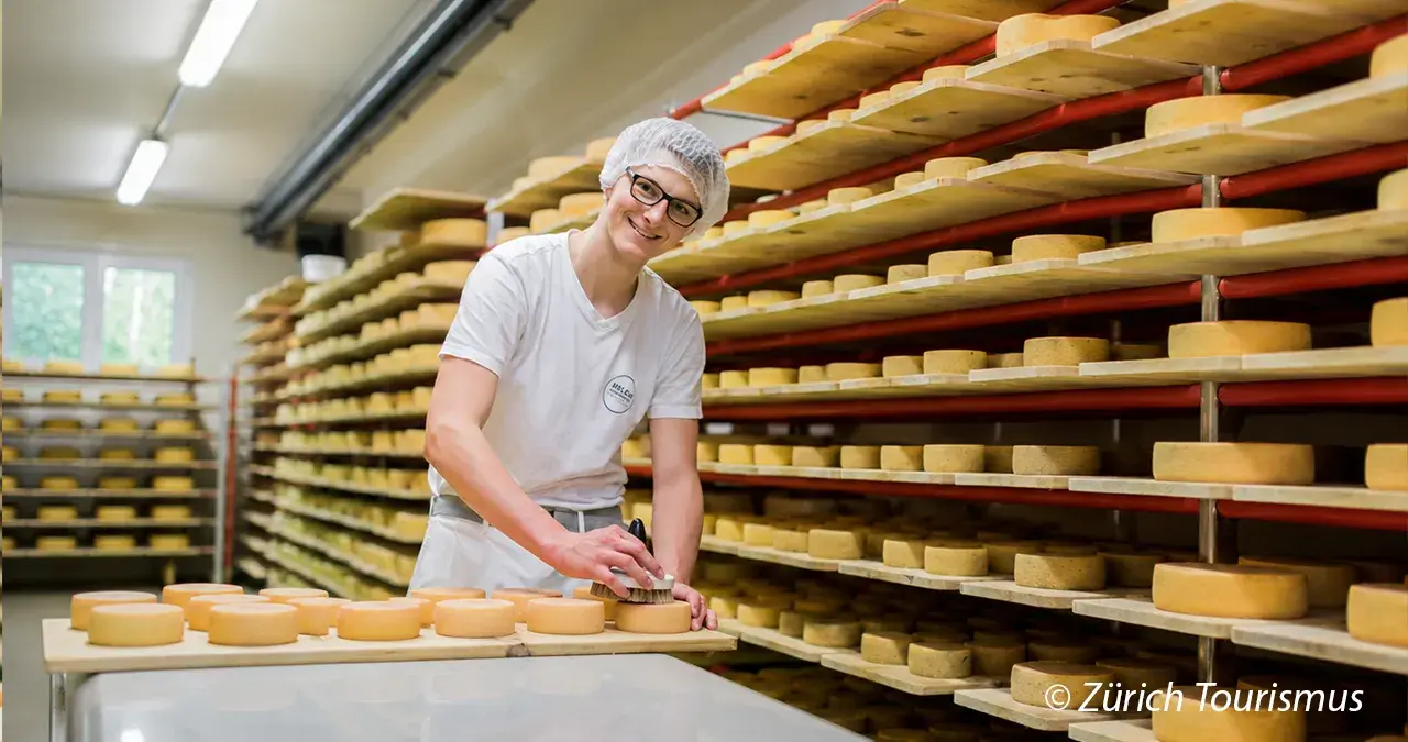 milchmanufaktur-cheesemaking