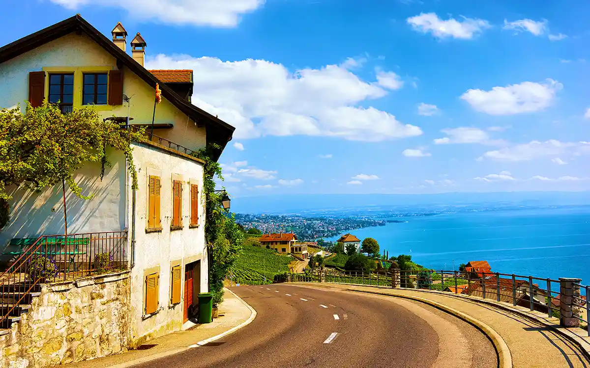 Road to Lavaux Vineyard