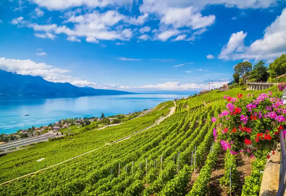 Famous Lavaux wine region overlooking the northern shores of Lake Geneva