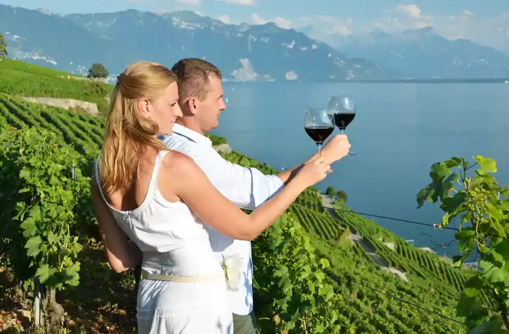 Swiss wine tasting among Lavaux vineyards