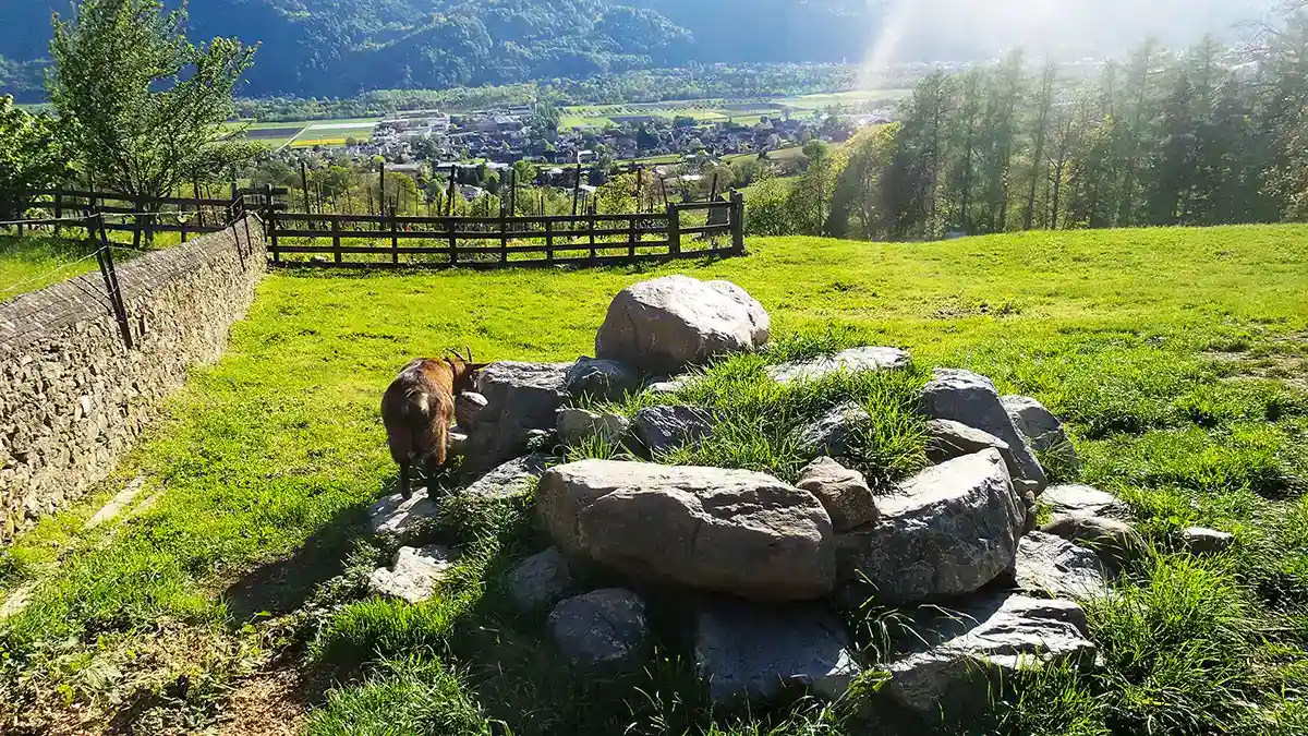 Heidiland, Switzerland